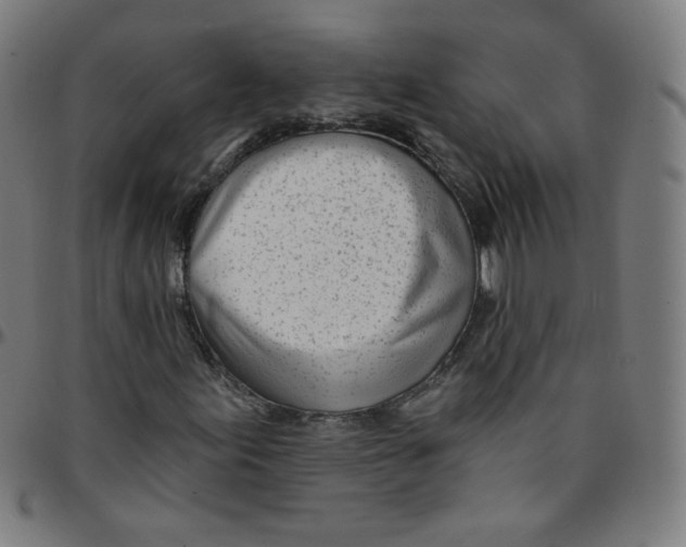 X0000095131155200801041240