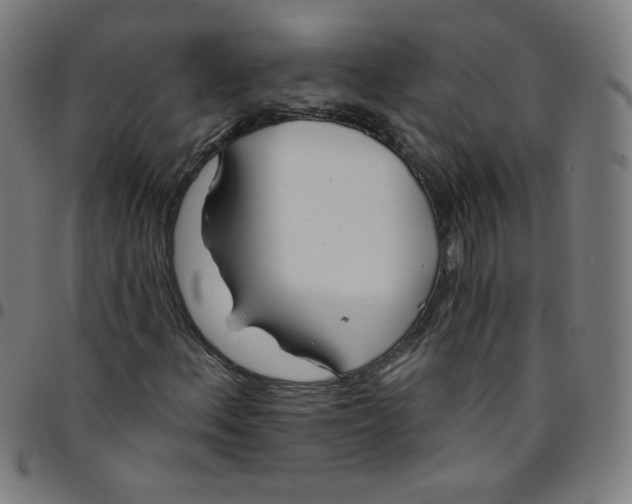 X0000095131156200801041240