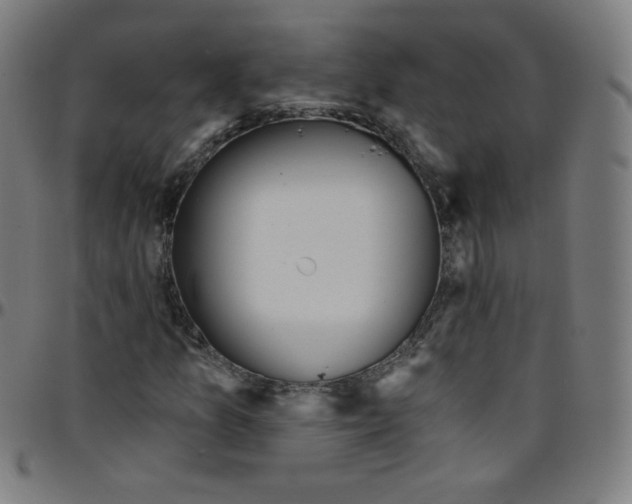 X0000095131157200801041240