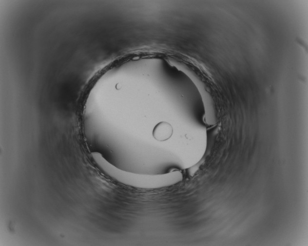 X0000095131160200801041239