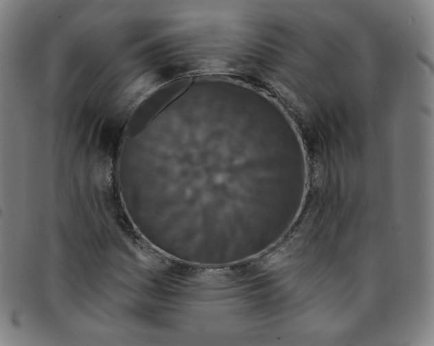 X0000095131161200801041239