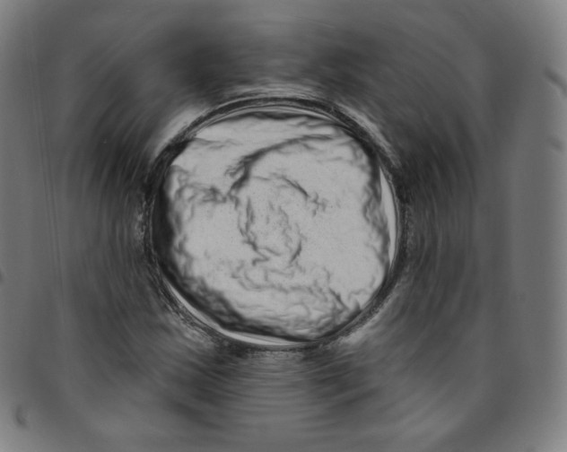 X0000095131163200801041239