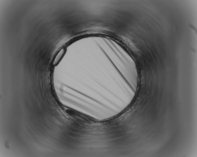 X0000095131164200801041239