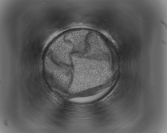 X0000095131167200801041239