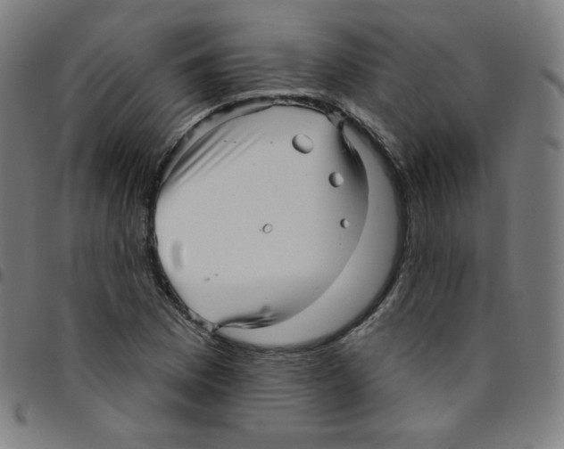 X0000095131169200801041239