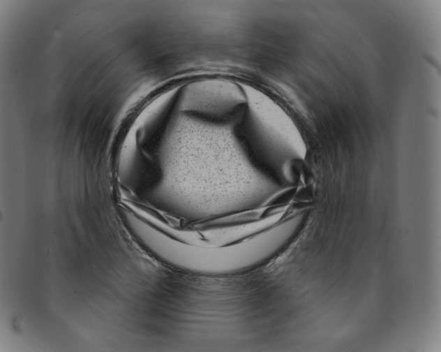 X0000095131172200801041239