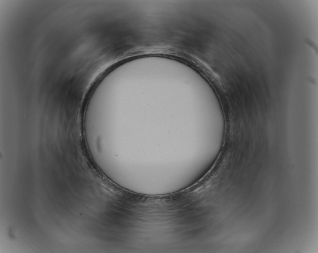 X0000095131174200801041239