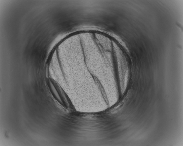 X0000095131175200801041239