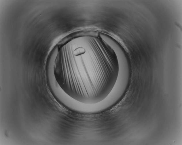 X0000095131176200801041239