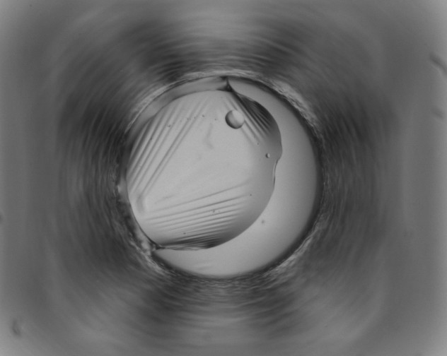 X0000095131177200801041239