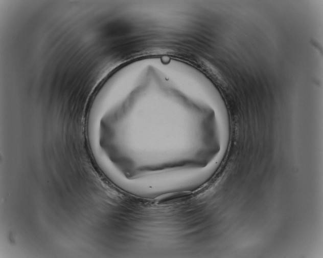 X0000095131178200801041239