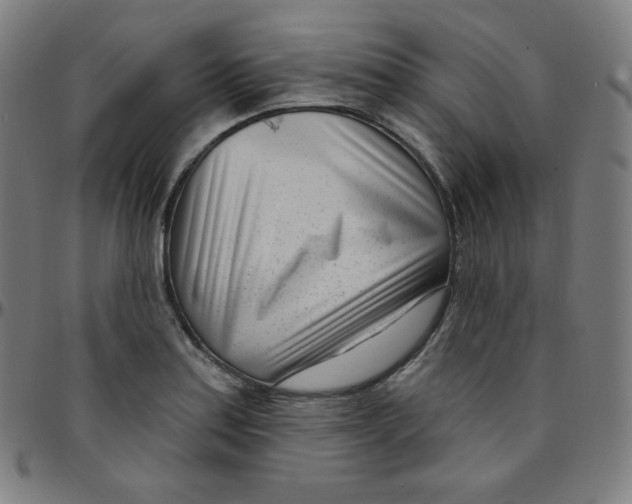 X0000095131179200801041239