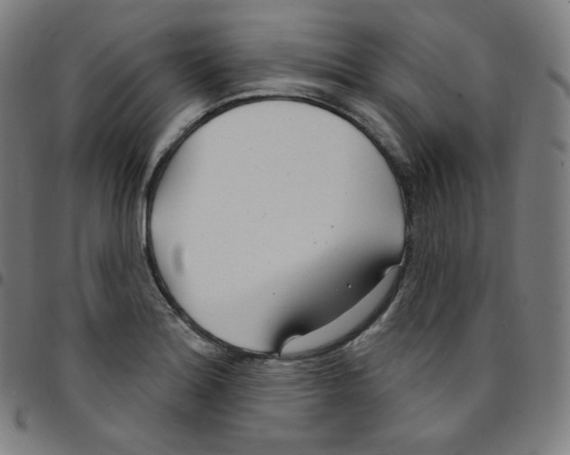 X0000095131180200801041239