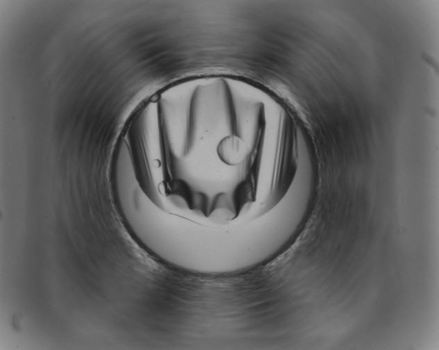 X0000095131181200801041239