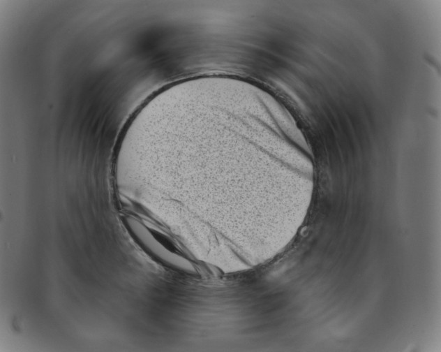 X0000095131182200801041239