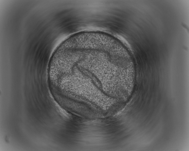 X0000095131183200801041239