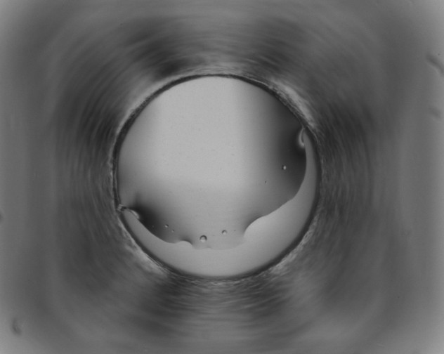 X0000095131184200801041239