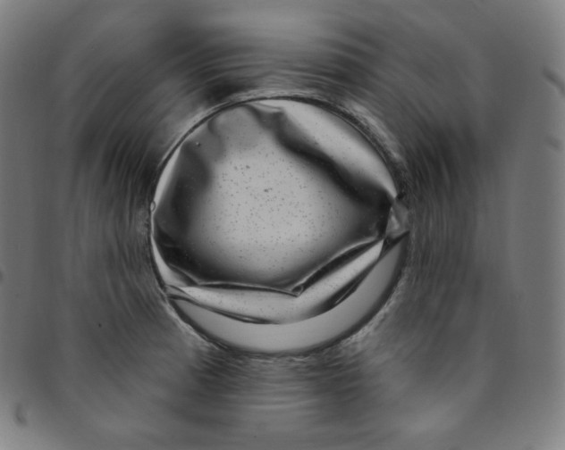 X0000095131185200801041239