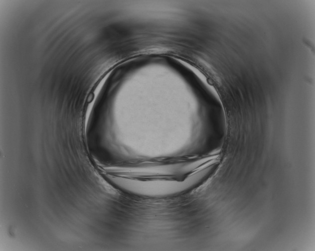 X0000095131186200801041239