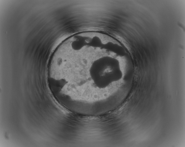 X0000095131187200801041239