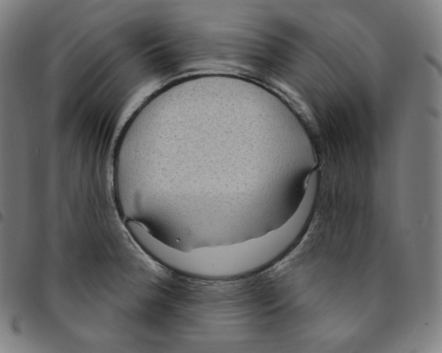 X0000095131188200801041239