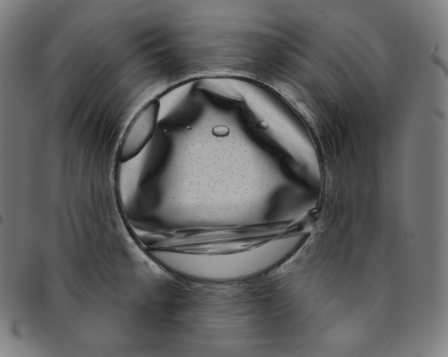 X0000095131189200801041239