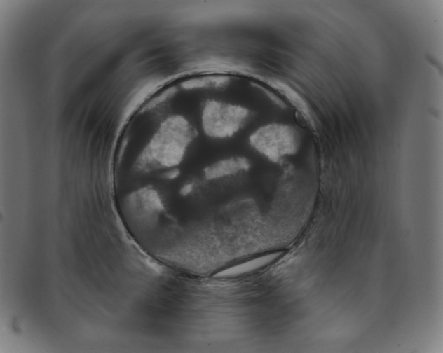 X0000095131191200801041239