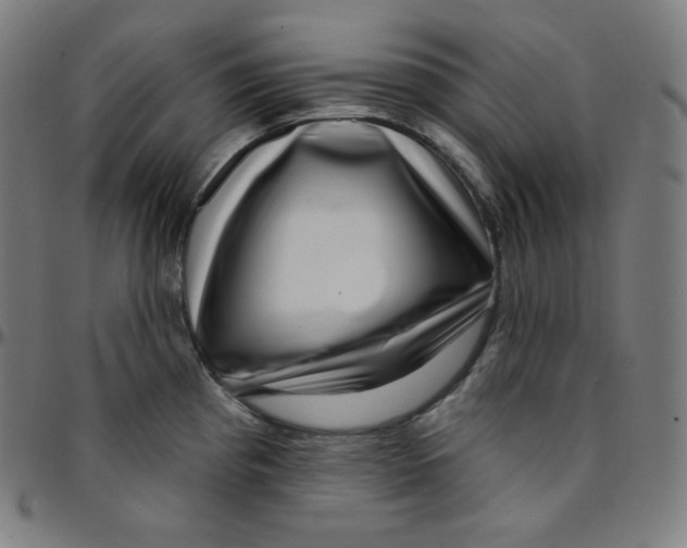 X0000095131193200801041239