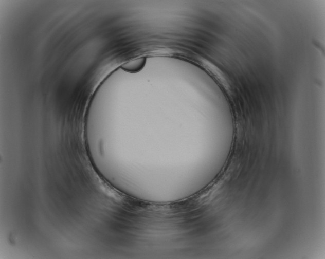 X0000095131194200801041239