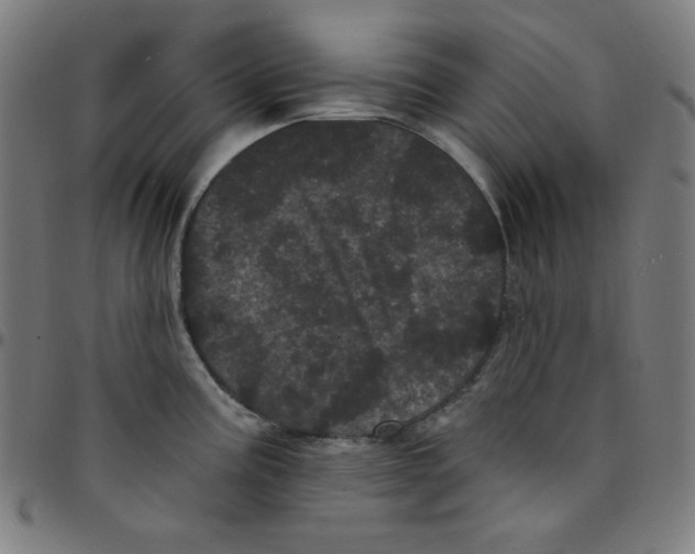 X0000095131195200801041239