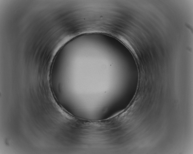 X0000095131197200801041239