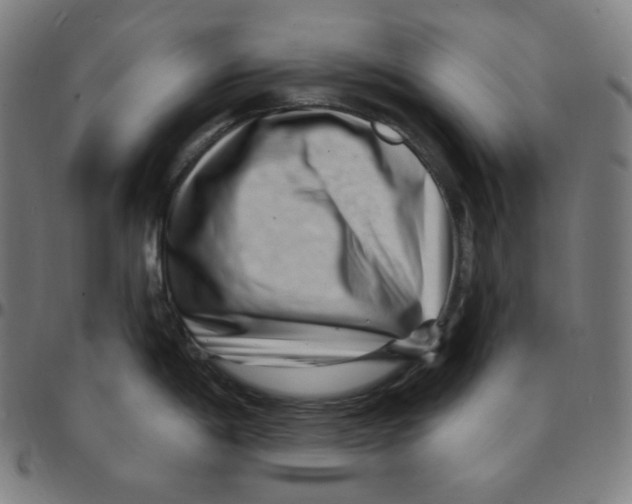 X0000095131198200801041239