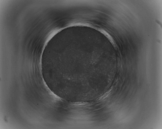 X0000095131199200801041239