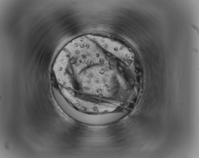 X0000095131200200801041239