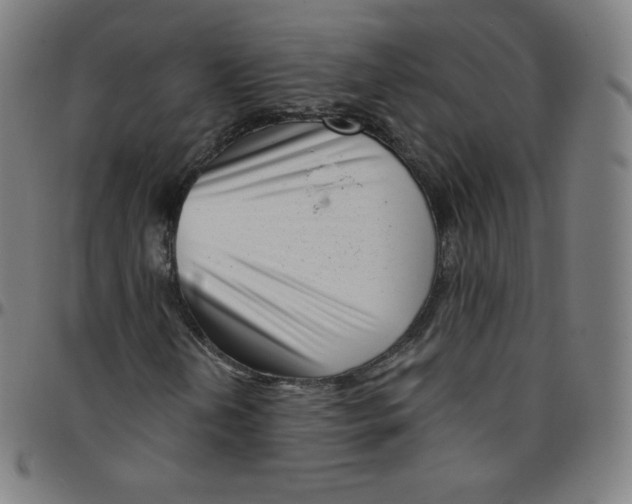 X0000095131202200801041238