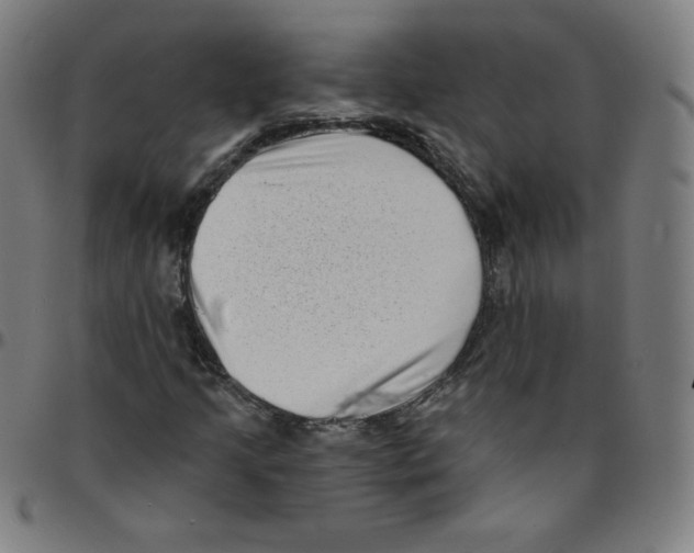 X0000095131205200801041238