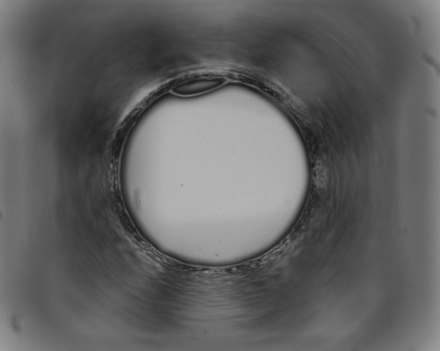 X0000095131208200801041238