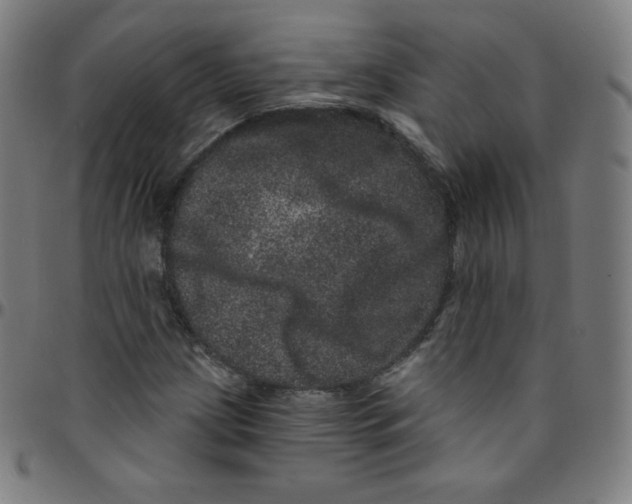 X0000095131209200801041238