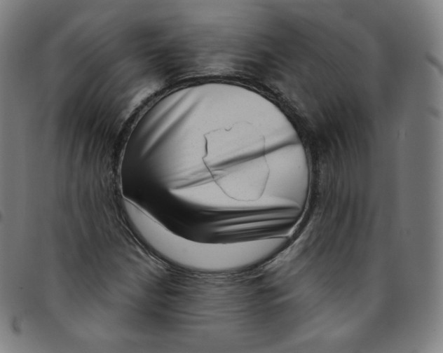 X0000095131210200801041238