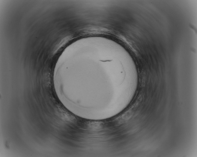 X0000095131211200801041238