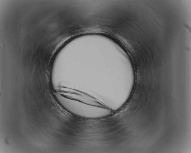 X0000095131212200801041238