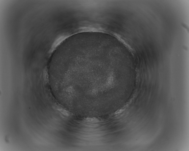 X0000095131215200801041238