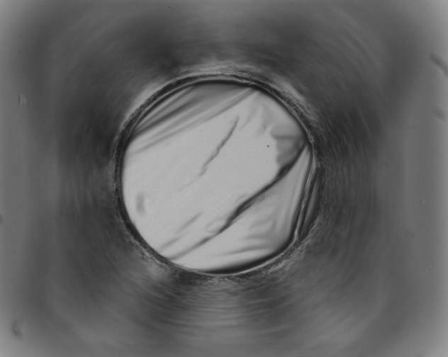 X0000095131216200801041238