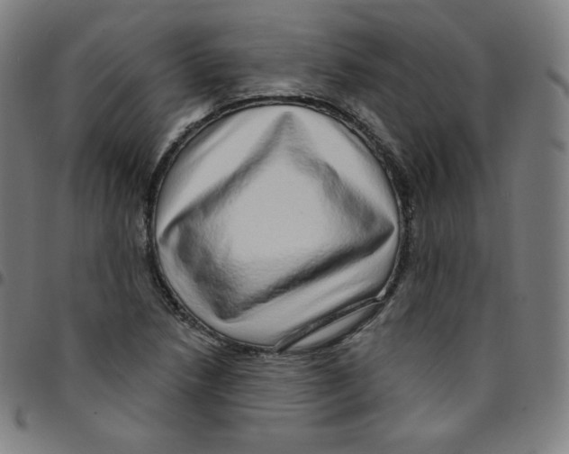 X0000095131218200801041238