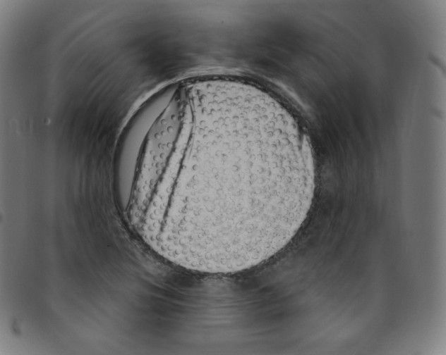 X0000095131220200801041238