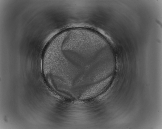 X0000095131221200801041238