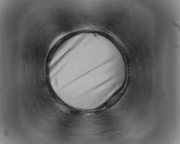 X0000095131222200801041238