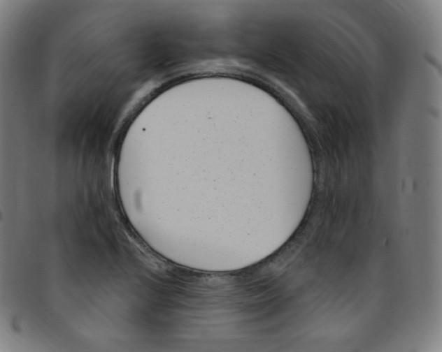 X0000095131224200801041238