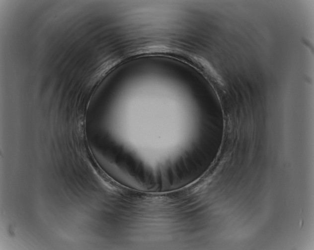 X0000095131225200801041238