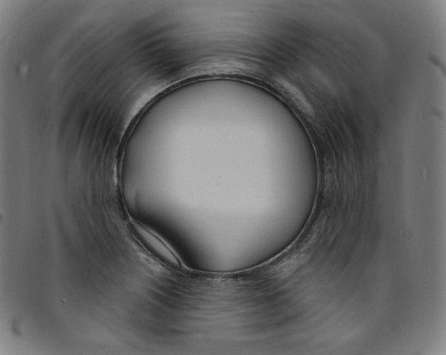 X0000095131226200801041238